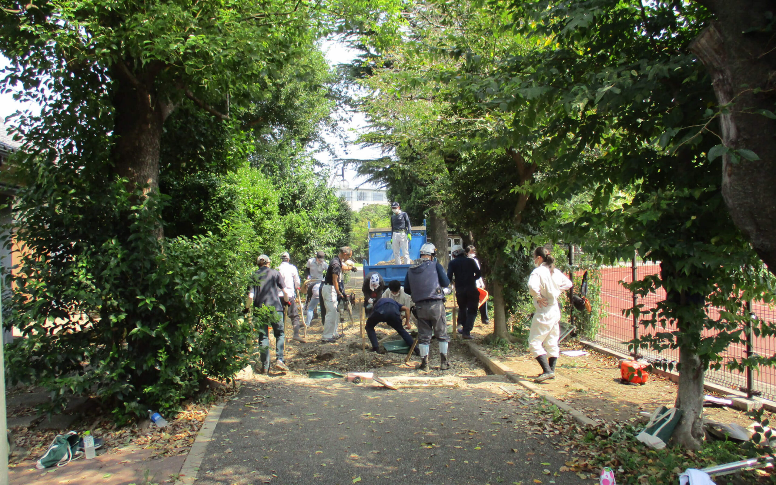 Living in harmony with nature